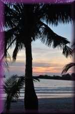 Palmstrand